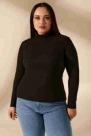 Black ribbed knitted turtleneck plus size