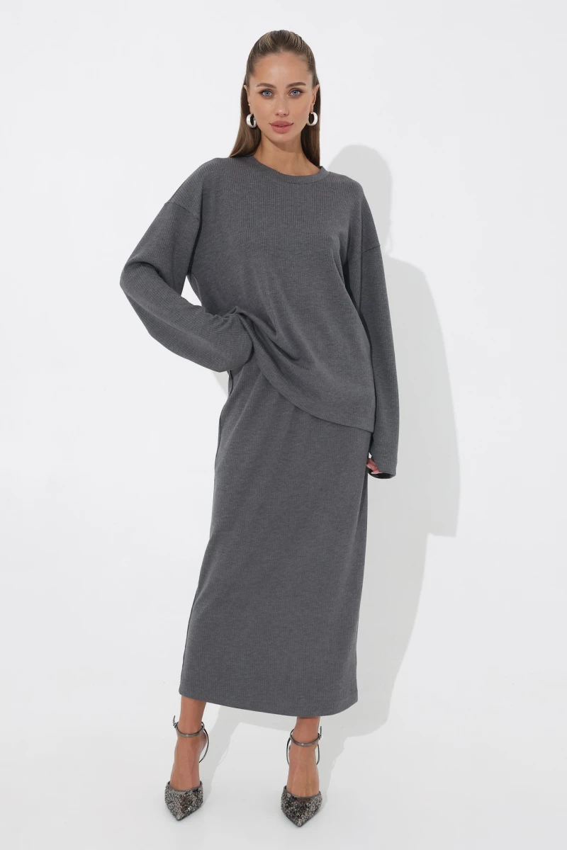 Suit longsleeve and skirt gray