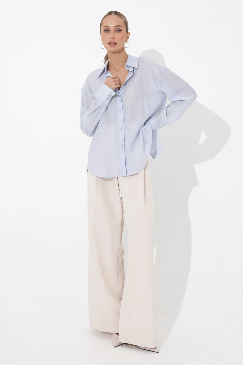 Blue translucent blouse