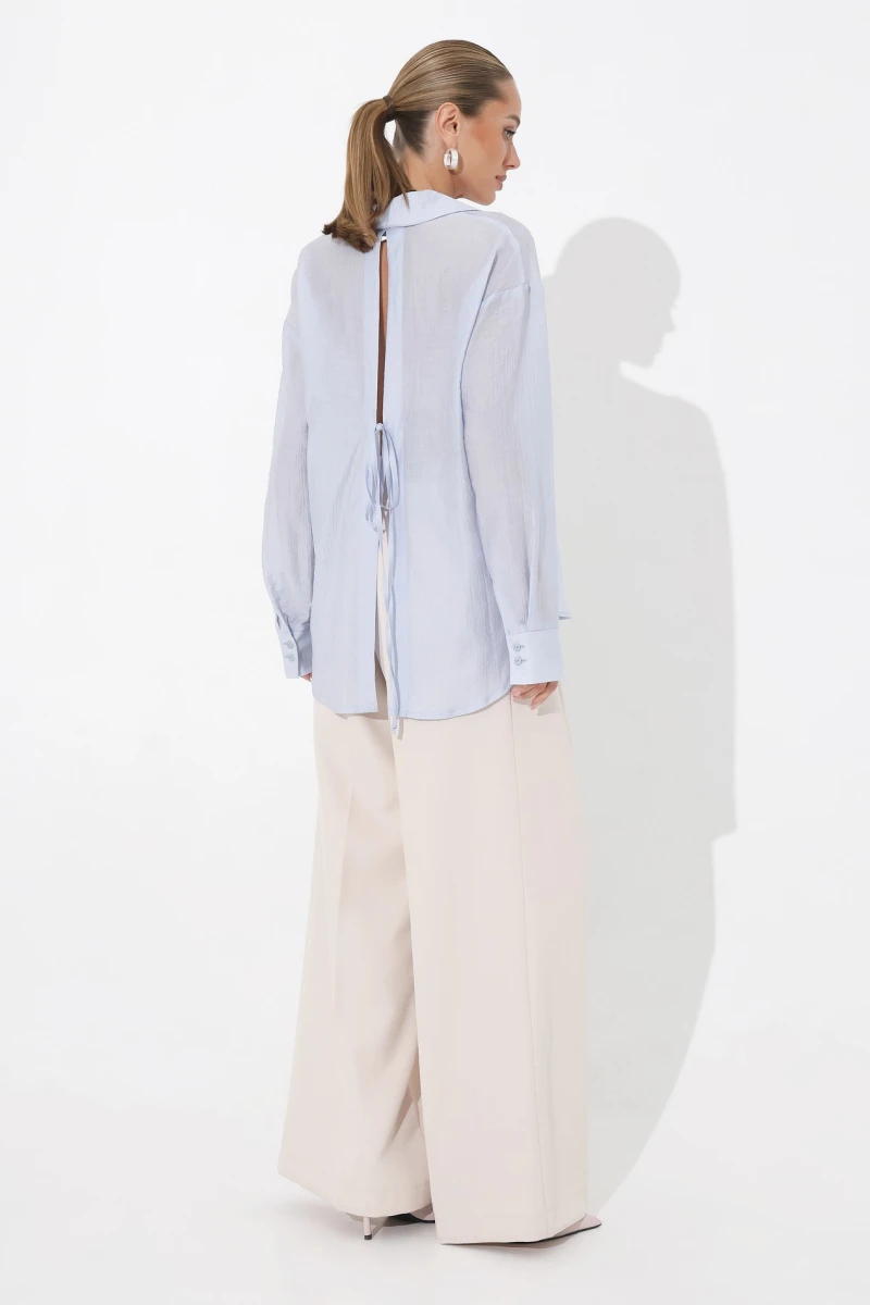 Blue translucent blouse