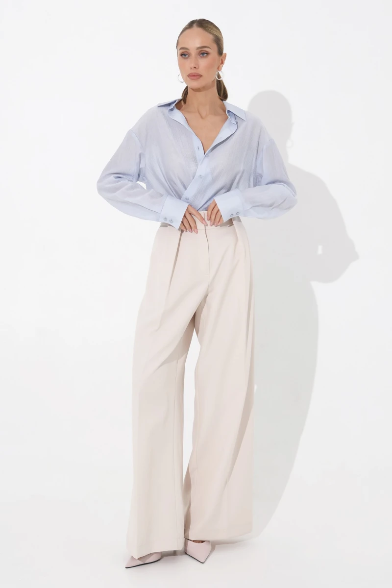 Blue translucent blouse
