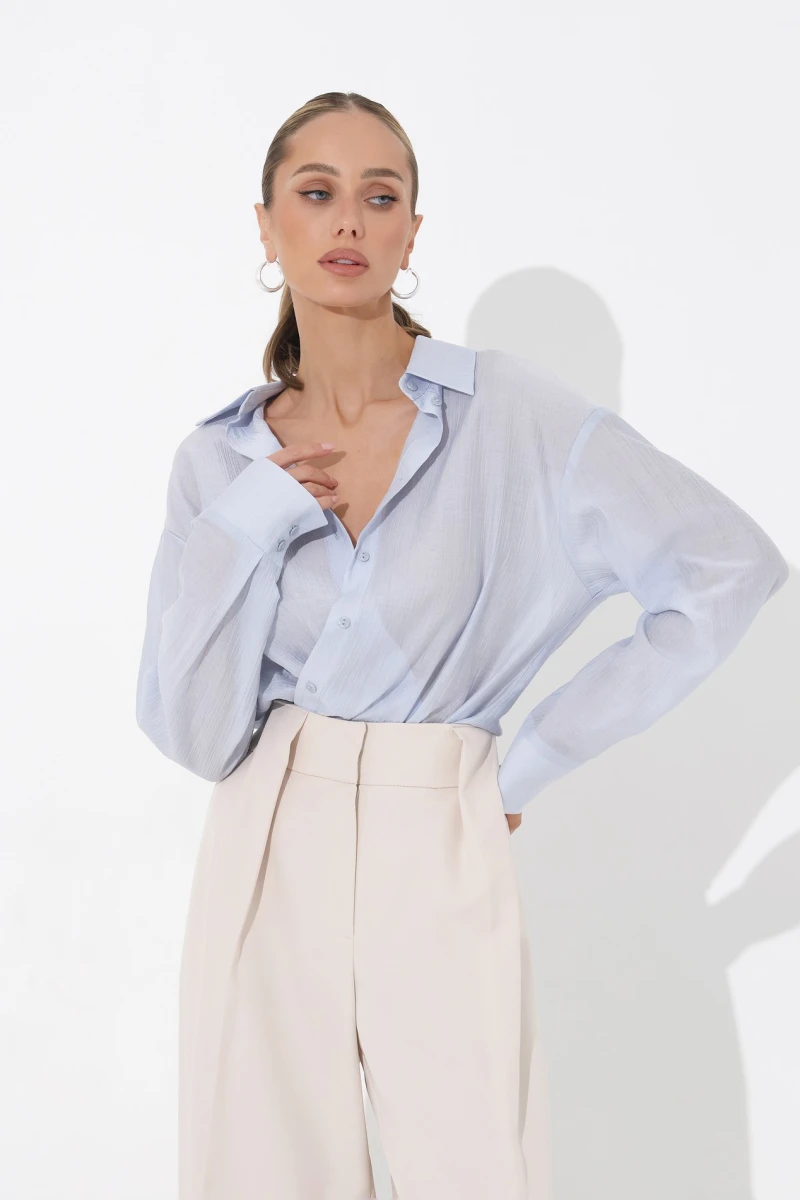 Blue translucent blouse