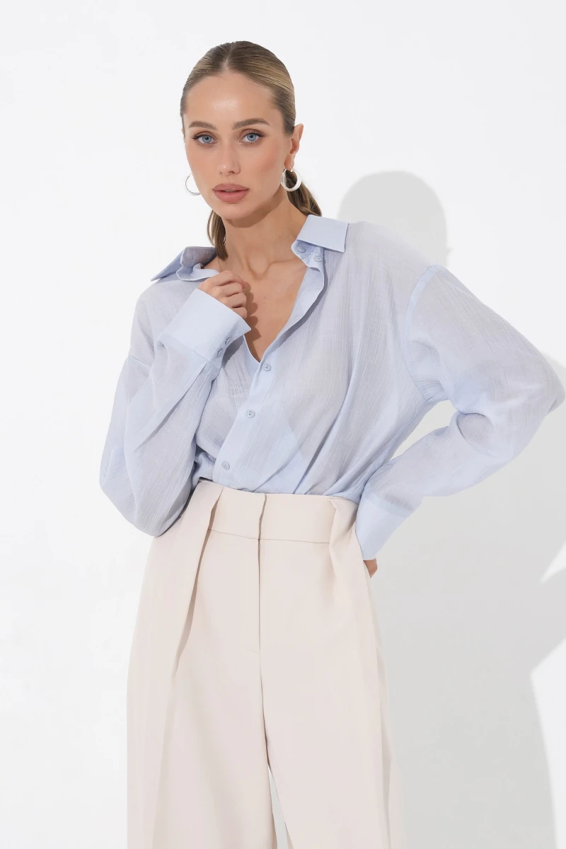 Blue translucent blouse