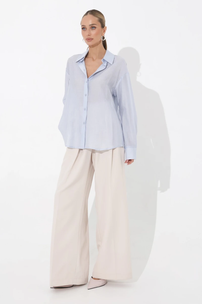 Blue translucent blouse