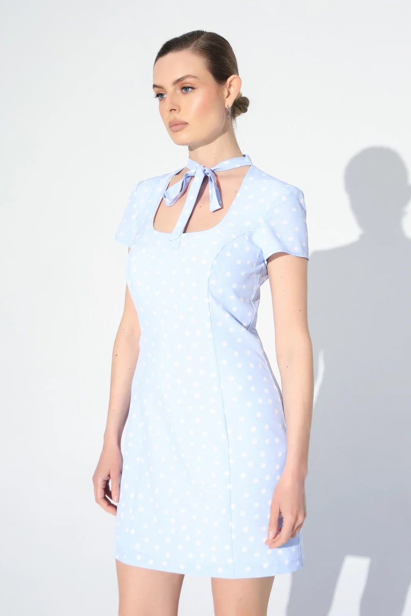 Mini dress milk peas on blue