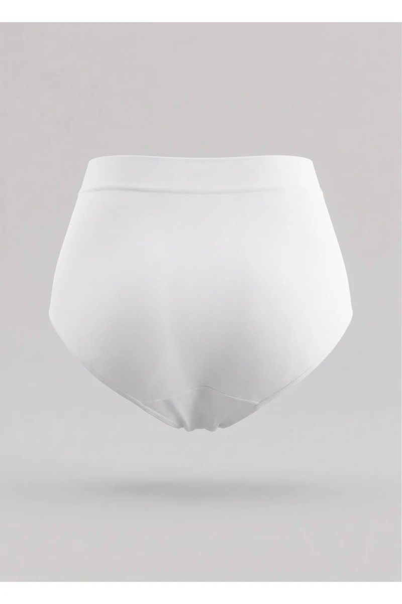 High-rise slips panties white #2