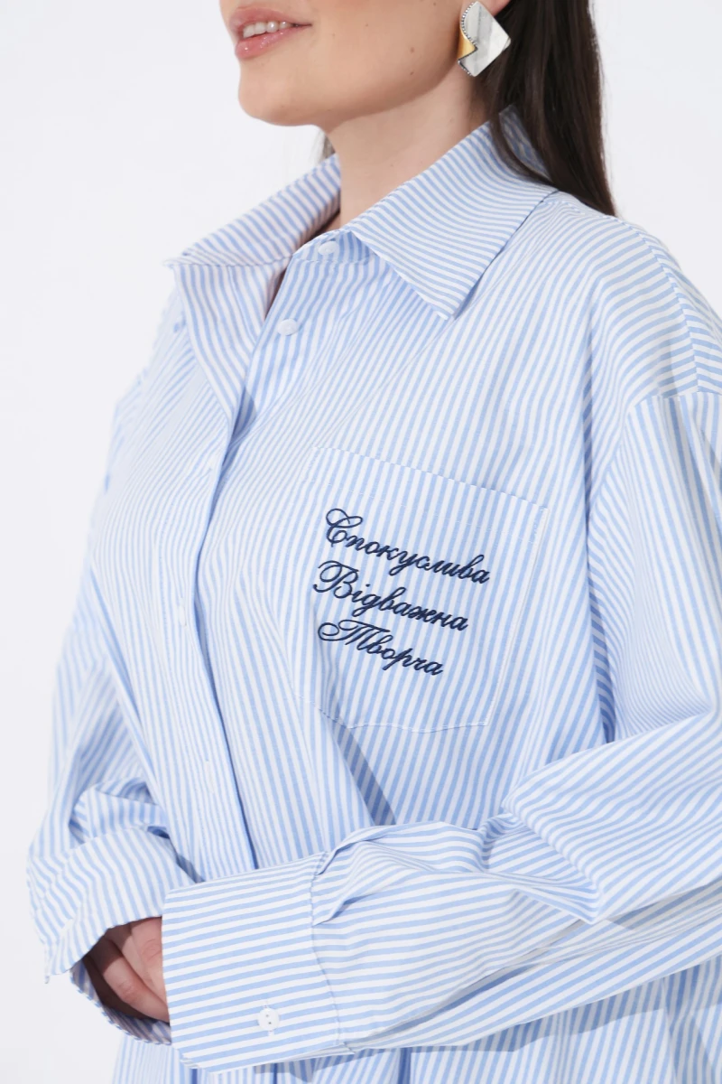 Oversized striped shirt plus size