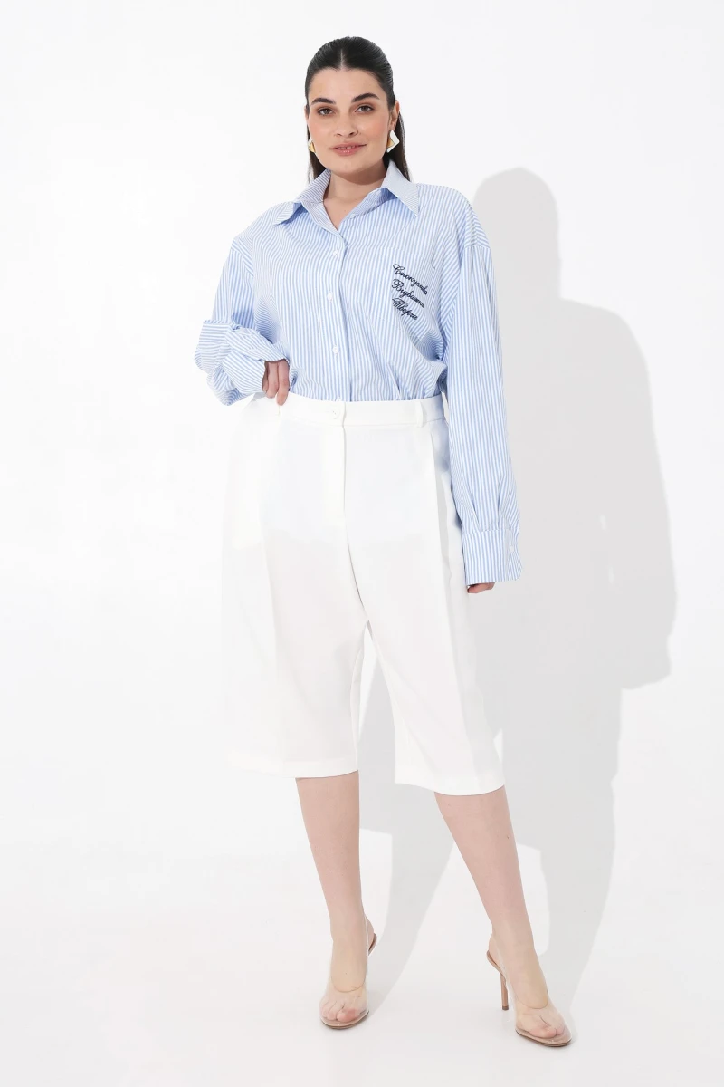 Oversized striped shirt plus size