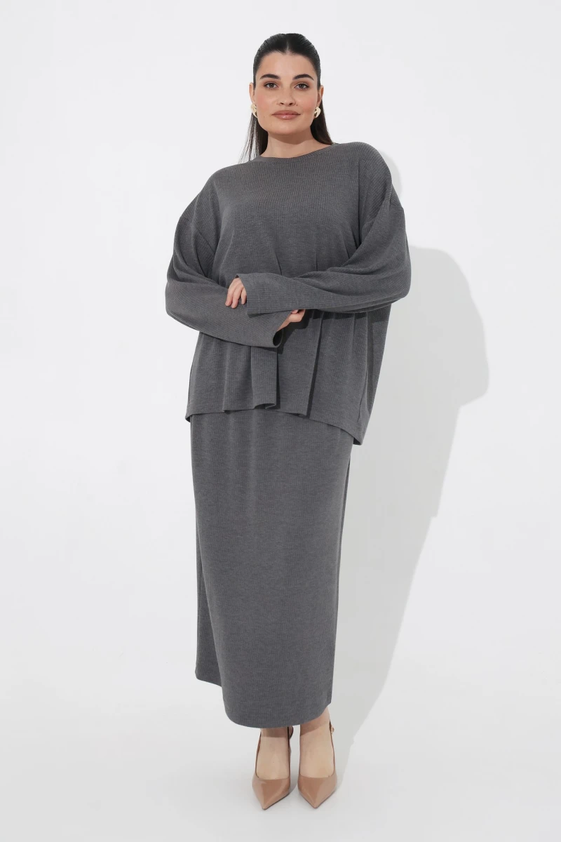 Suit longsleeve and skirt gray plus size