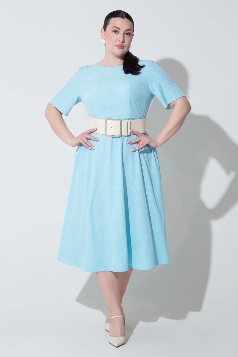 Dress milk peas on blue plus size