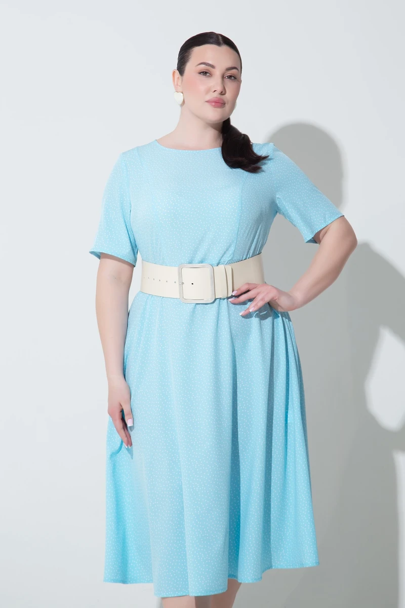 Dress milk peas on blue plus size #2