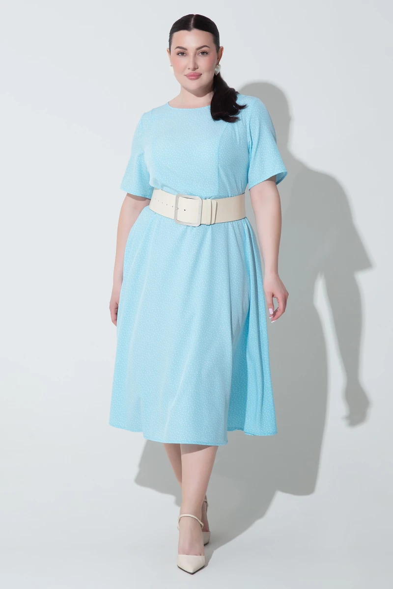 Dress milk peas on blue plus size